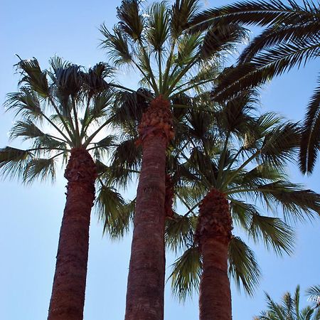 Apartamentos Les Palmeres Platja d'Aro Esterno foto